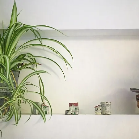 App Enterprise ウマグ