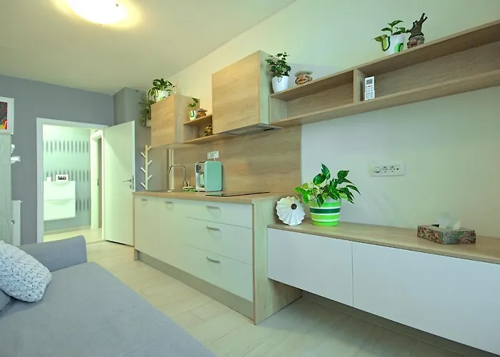 App Enterprise Διαμέρισμα Ουμάγκ